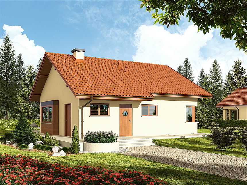 Projekt domu Tori III (wersja B) economic