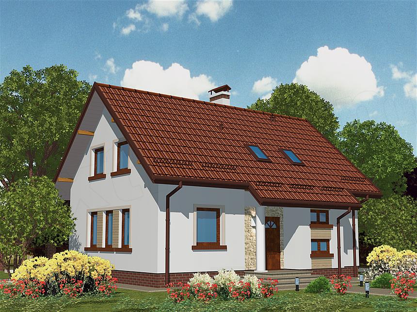 Projekt domu APS 205