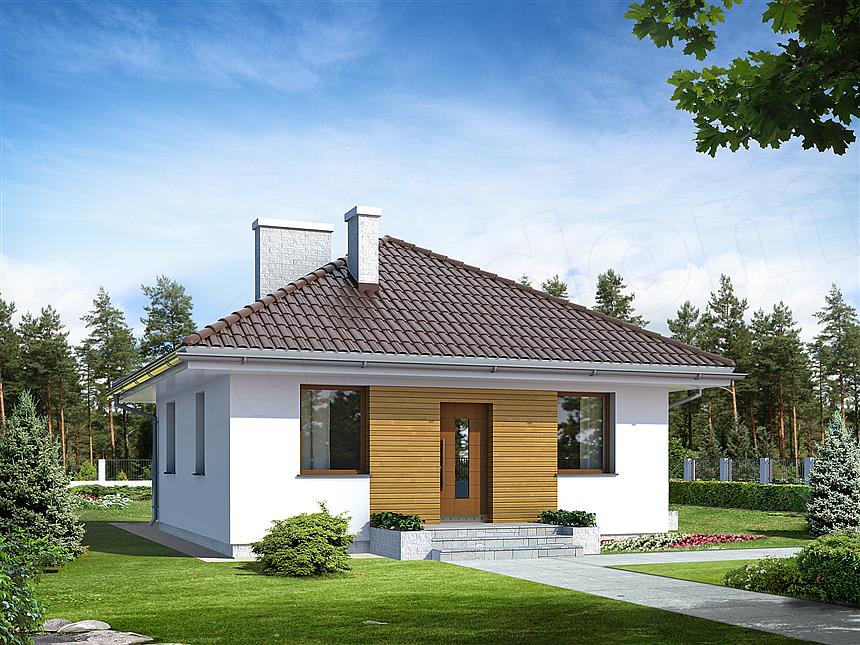 Projekt domu Imbir
