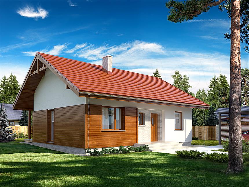 Projekt domu Gaja drewniana
