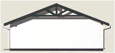 G3 Szkielet drewniany elewacja