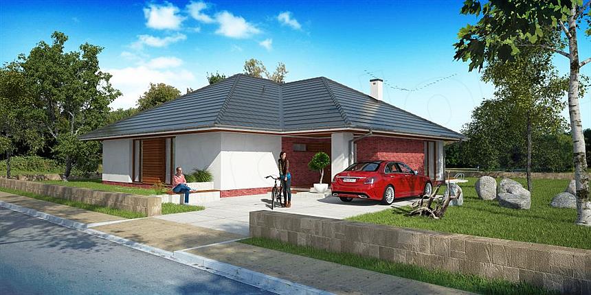Projekt domu Validus I P