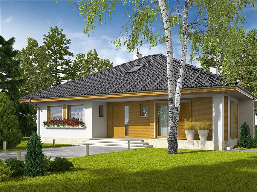 Projekt domu Flori III 30 stopni (wersja A) economic