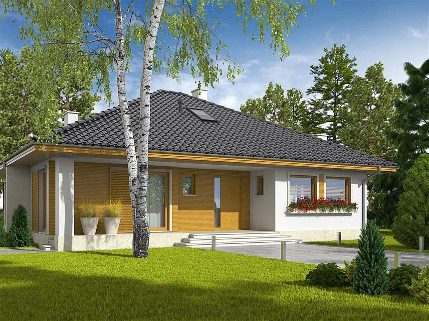 Projekt domu Flori III 30 stopni (wersja A) economic