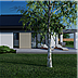 projekt domu Sej-pro 051 energo