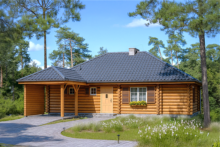 Projekt domu Zagajnik