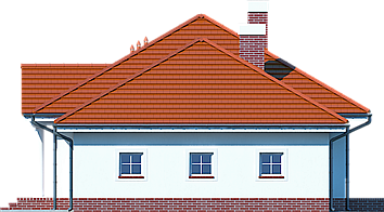 Zadębie średnie z garażem elewacja