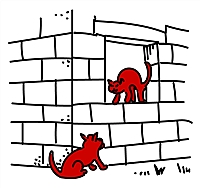 nowości, pytania, odpowiedzi