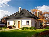 Niki (wersja B) energo