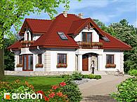 Dom w jeżówkach 3