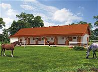 S36 Stajnia angielska dla koni - 6 boksów