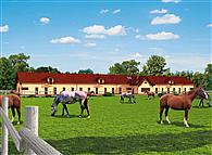 S39 Stajnia dla koni - 37 boksów