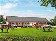 S43 Stajnia angielska dla koni - 6 boksów