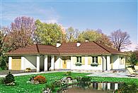 Zawilec - murowana – ceramika