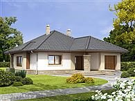 Imbir PS (paliwo stałe)