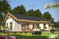 Dawid z garażem 1-st. [A]