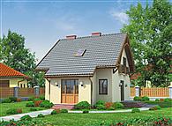 La Pampa szkielet drewniany