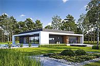 Harmonijny D56 wariant I