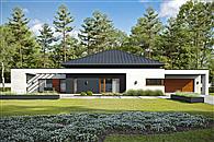 Ekspresyjny D73 wariant I