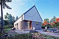 Chmiel bez garażu [B]