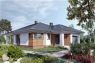 Koniczynka Nano (1874)