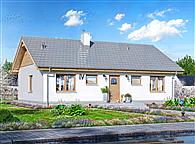 Tebe szkielet drewniany