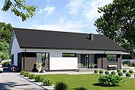 N24-BG