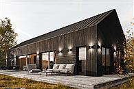 House 30 - szkieletowy