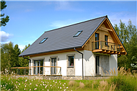 L-15 Dom jeżynowa szkieletowy