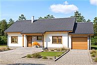 Talent paliwo stałe