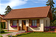 Toronto C szk. drew., dom mieszkalny, cał. ogrzewanie kominek z płaszczem wodnym