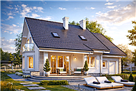 APS 246 paliwo stałe